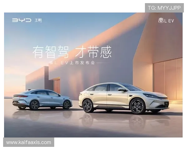 凯发一触即发官网:客户服务与技术支持保障玩家权益的重要措施 凯发一触即发官网:客户服务与技术支持保障玩家权益的重要措施