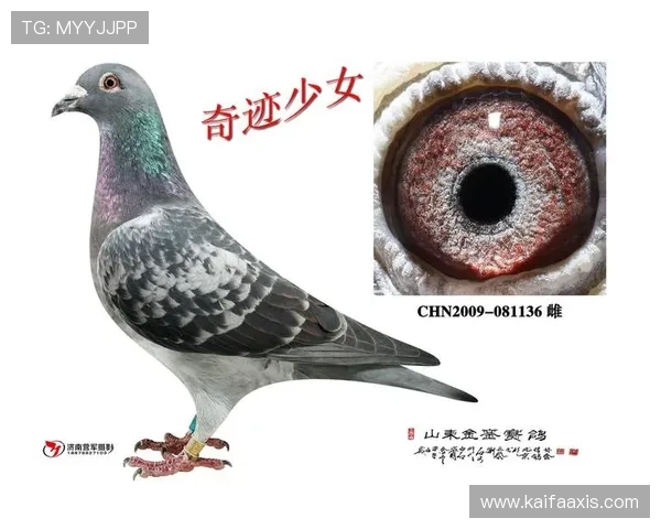 如何快速解决AG国际真人版全站登录遇到的常见错误，确保顺利进入游戏体验精彩对战