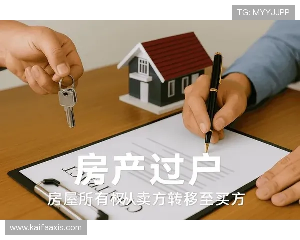K8集团代理合作优势与风险分析帮助你做出明智的投资决策
